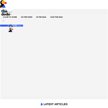 ���߳���ͼƬ�ۺ���