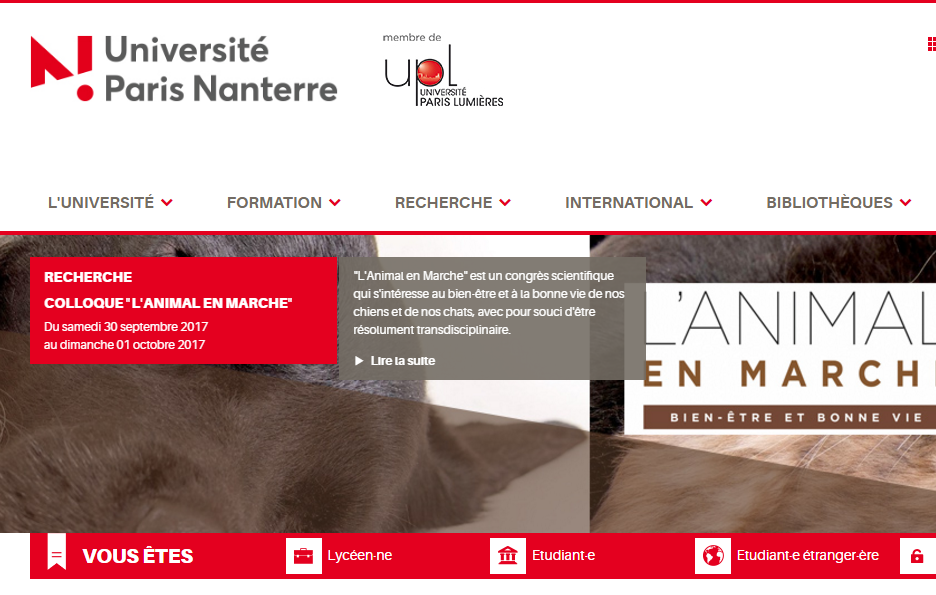 �����ʮ��ѧ