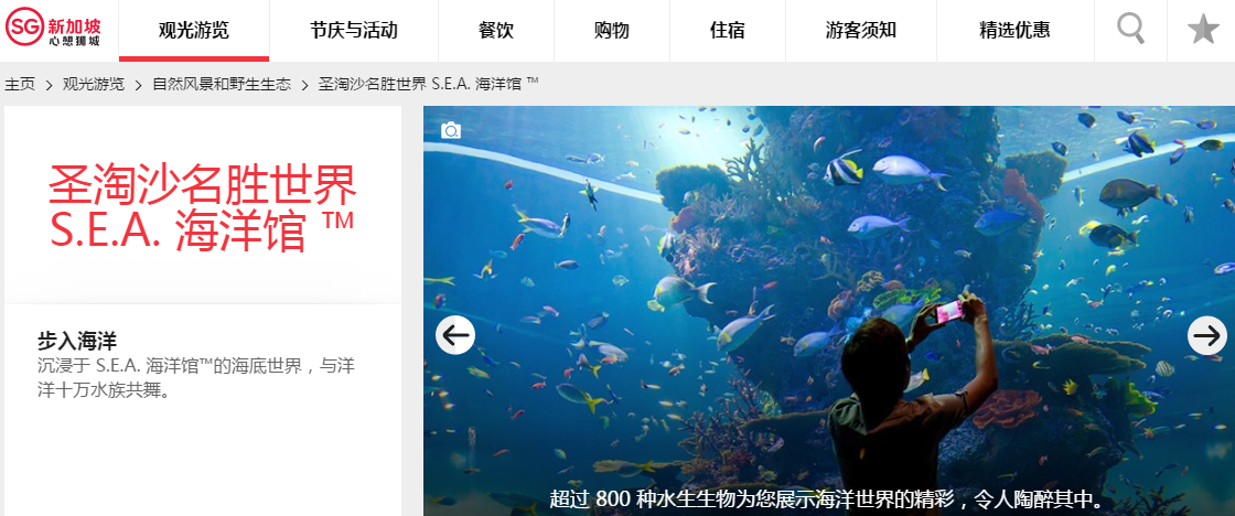 �¼��º�������