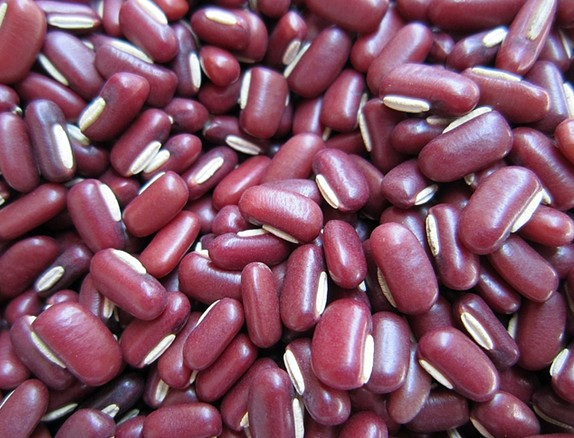 请问赤小豆与红豆怎样区分有图片吗叫看一看