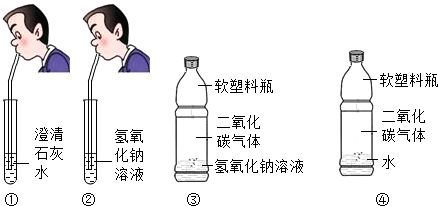 二氧化碳与澄清石灰水反应的化学方程式